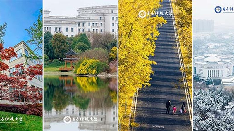 电子模块选型：如何从技术细节中找到最佳匹配**
