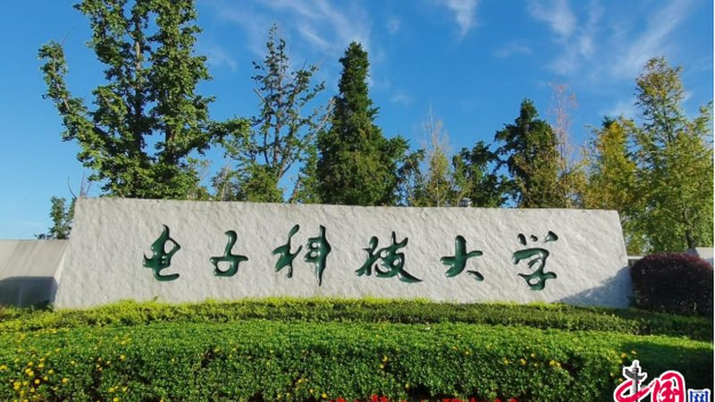 以下是电子元器件代理加盟行业内的十大品牌排名，供企业参考：